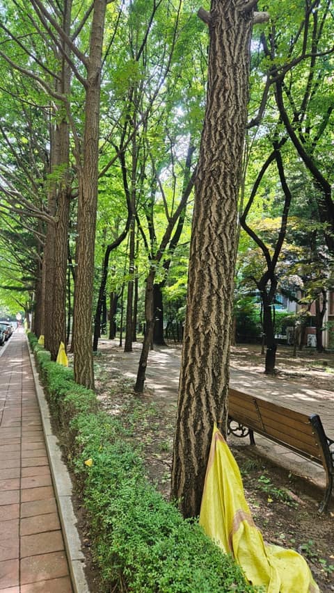 신사근린공원 산책코스 사진 1