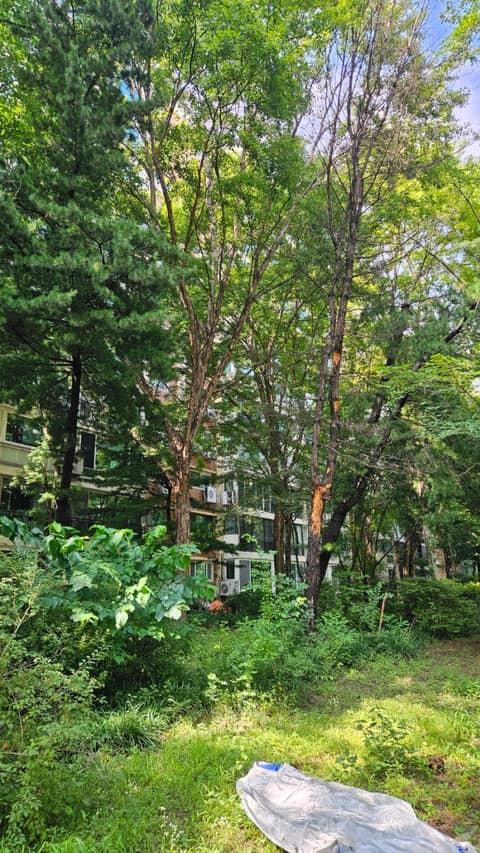 신사근린공원 산책코스 사진 3