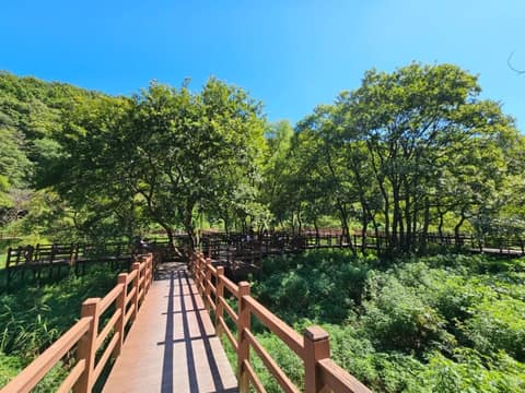송정 박상진호수공원 둘레길 사진 1