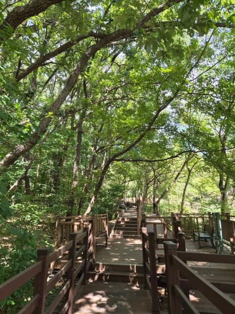 수지생태공원 산책길 사진 1