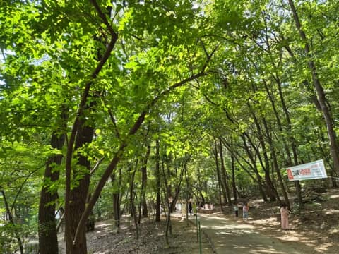 수지생태공원 산책길 사진 2