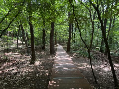 수지생태공원 산책길 사진 5