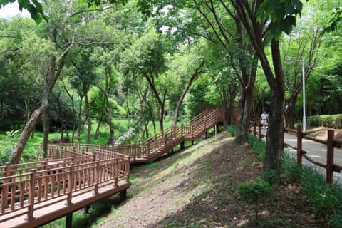 수지생태공원 산책길 사진 6