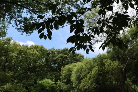 수지생태공원 산책길 사진 9