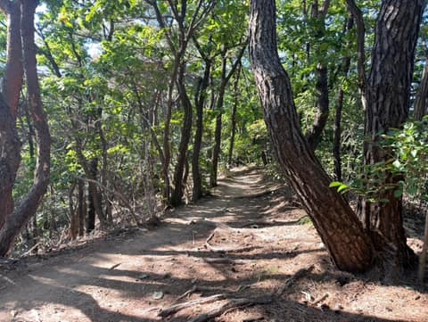 수지생태공원 산책길 사진 10