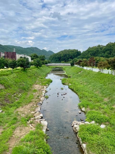 노근리평화공원 산책길 사진 2