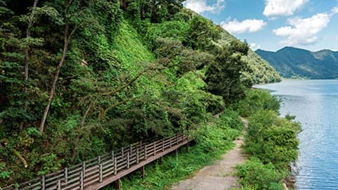 옥천선사공원 산책길 사진 2