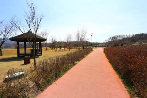 옥천선사공원 산책길 사진 7