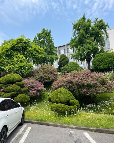 인경호 산책길코스 사진 5