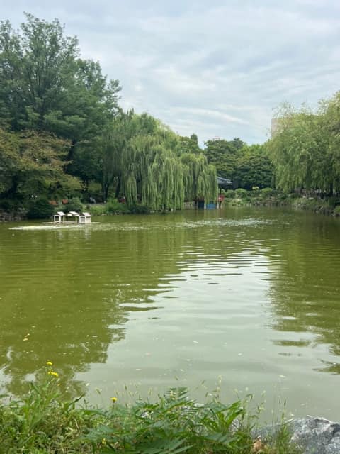 인경호 산책길코스 사진 6