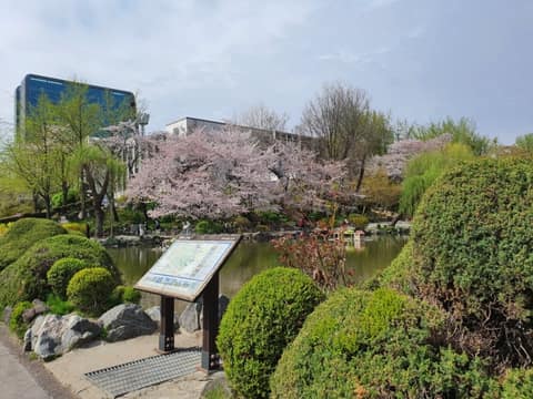 인경호 산책길코스 사진 9