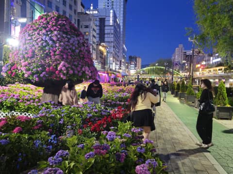 별빛내린천 수변길 사진 2