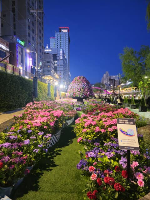 별빛내린천 수변길 사진 3
