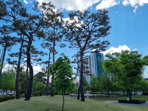 안성 낙원역사공원 산책길 사진 5