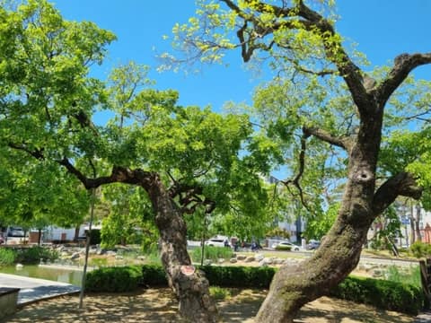 안성 낙원역사공원 산책길 사진 6