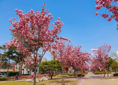 안성 낙원역사공원 산책길 사진 7