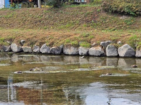 충주천 산책길 사진 3