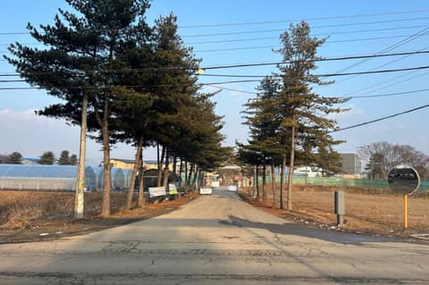 왕림리 강가 산책길 사진 2