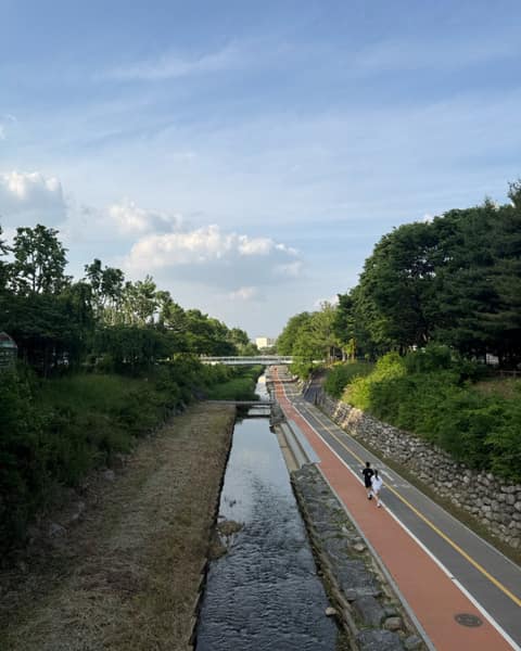 과천중앙공원 산책길 사진 1