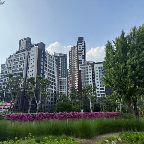 과천중앙공원 산책길 사진 2