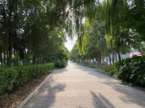 포항철길숲 산책길 사진 1