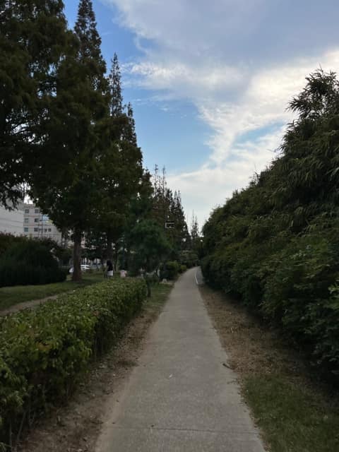 포항철길숲 산책길 사진 4