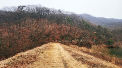 낙생저수지 산책길 사진 1
