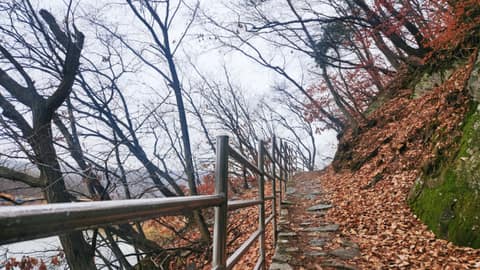 낙생저수지 산책길 사진 3