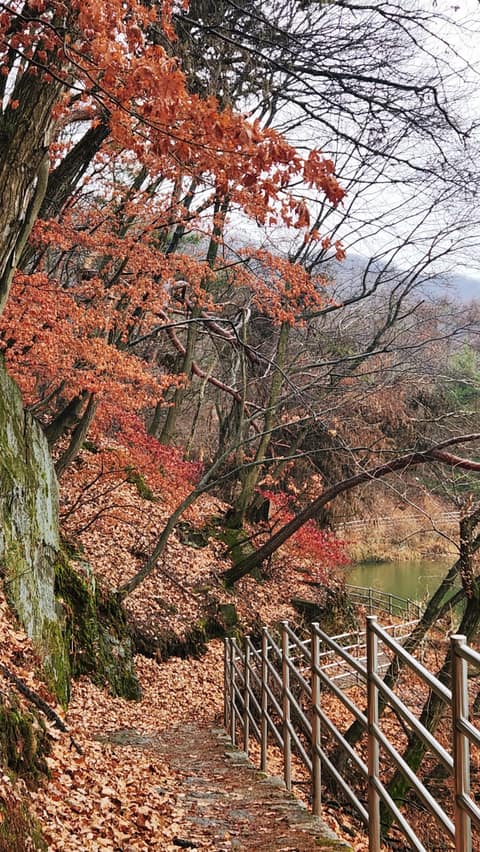낙생저수지 산책길 사진 4
