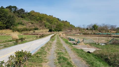 와룡산 명품 산자락길 사진 4