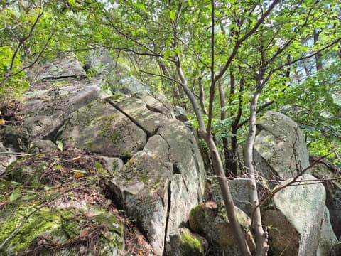 와룡산 명품 산자락길 사진 6
