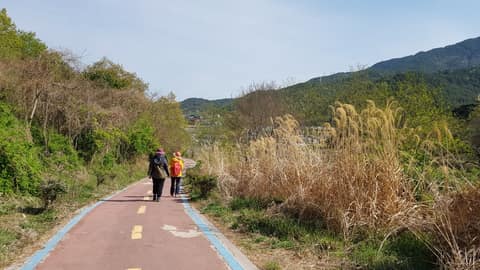 와룡산 명품 산자락길 사진 8