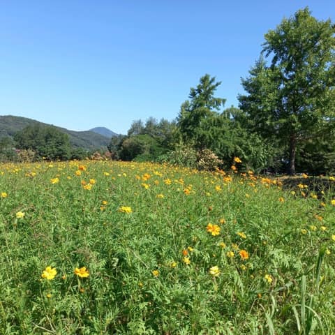 곤지암도자공원 산책길 사진 7