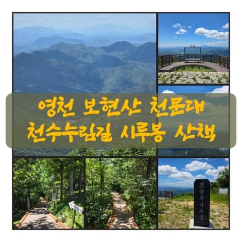 보현산 천문대길 사진 9