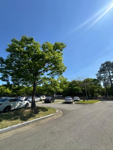 관문체육공원 산책길 사진 3