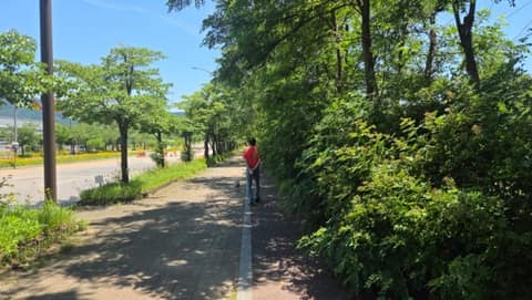 관문체육공원 산책길 사진 10