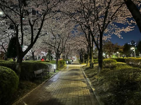상현공원 산책길 사진 2