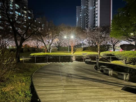 상현공원 산책길 사진 3