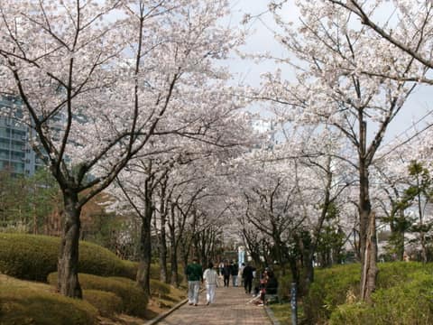 상현공원 산책길 사진 4