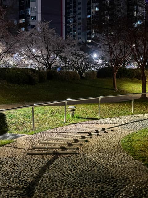 상현공원 산책길 사진 7