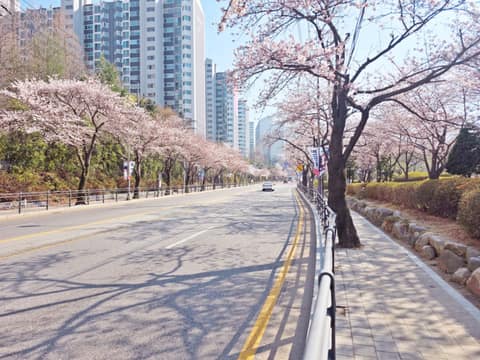 상현공원 산책길 사진 8