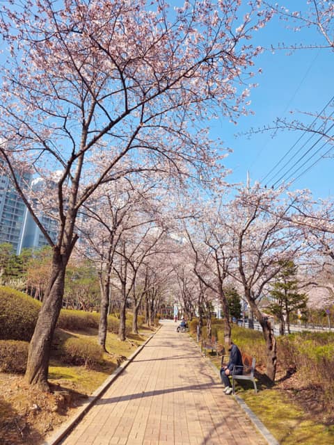 상현공원 산책길 사진 9