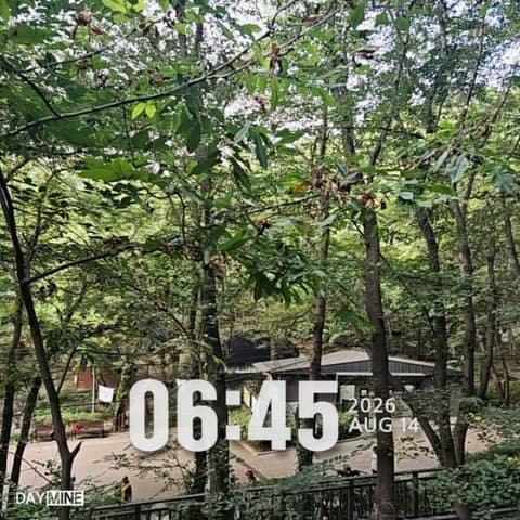 매봉산 둘레길 사진 7