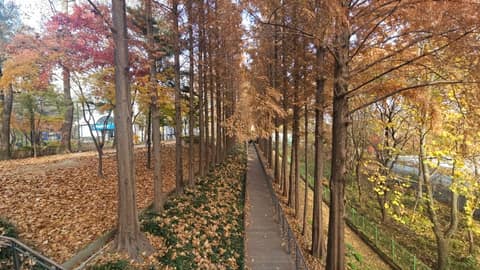일원에코길 사진 4
