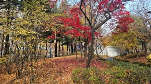 일원에코길 사진 8