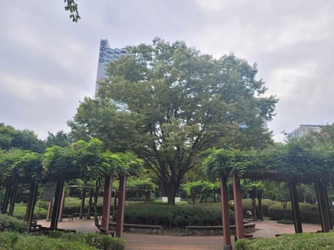일원에코길 사진 10