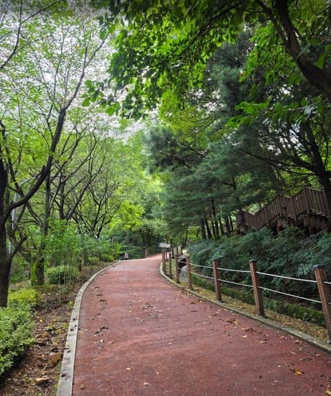 도덕산공원 산책길 사진 1