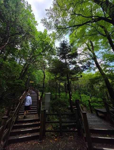 도덕산공원 산책길 사진 2