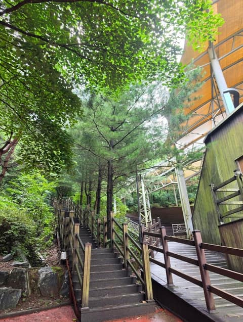 도덕산공원 산책길 사진 3