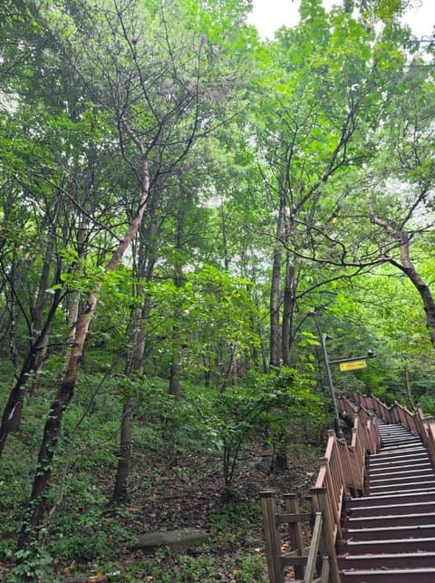 도덕산공원 산책길 사진 5